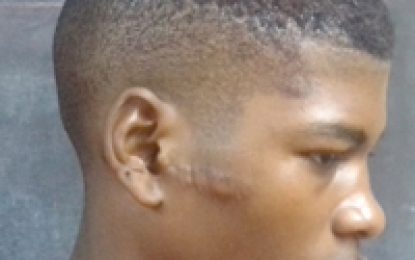 Son stabbed with pitchfork while defending mom