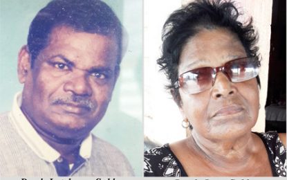 Mibicuri neighbourhood cop dies in car accident