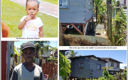 Ex-con buries niece alive in shallow grave