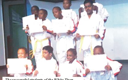 White Tiger Martial Arts  Academy hosts Taekwondo exams