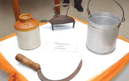 Historical records now more accessible to public