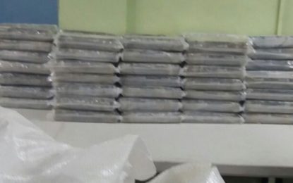 Big Europe-bound coke shipment busted