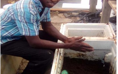 NAREI takes vermicompost project to Region Six