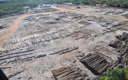 Mysterious fire being probed at ‘old’ BaiShanLin B’ce River log yard