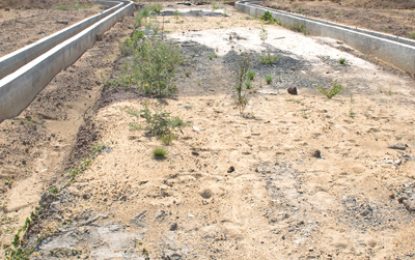 Lethem Industrial site to be operational by 2019