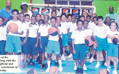 Brusche Basketball Foundation  youth clinic concludes