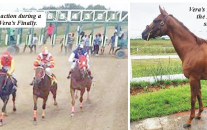 Vera’s Finally vs Storm Bird to headline Race of Champions horserace Meet