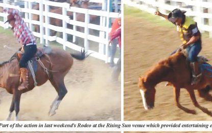 Large and colourful crowd witness Rising Sun Rodeo