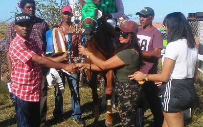 Number 28 Bushlot/Adventure Action Group Charity Horse Race Meet