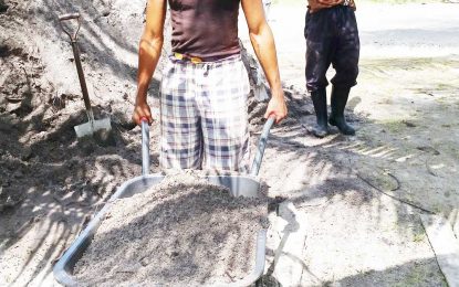 NGO introduces poverty eliminating project in West Ruimveldt