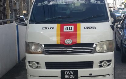 Boy, 2, crushed by minibus driven by father