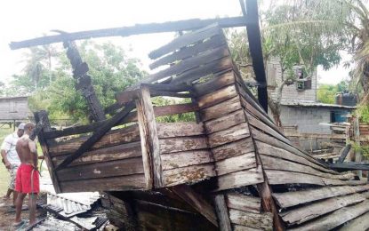 Woman sets house on fire