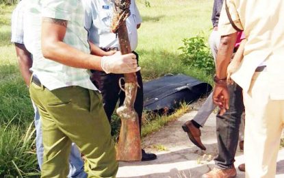 Shotgun discovered in Number 63 pond