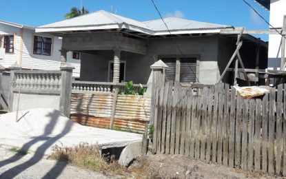 Suspect in No. 72 Village granny shooting hiding in back dam