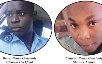 La Grange Police Station tragedy…Cop who shot lover, killed self had assaulted another female rank in training school – official