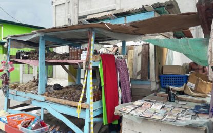 Rose Hall fire victim forced to live in makeshift shack