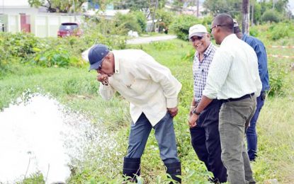 $40M Sparendaam well to be operational before year-end