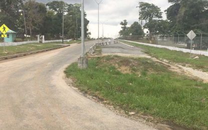 Six years later, $618M CJIA access road still incomplete