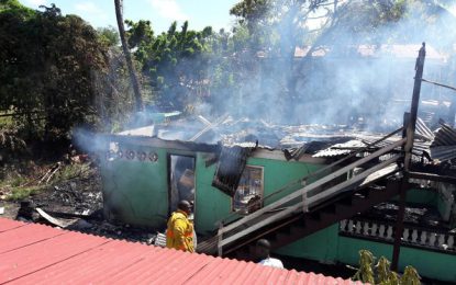 GuySuCo official loses Williamsburg home in midday fire