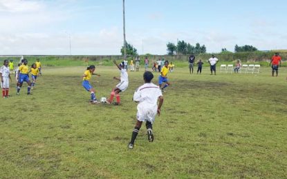 Smalta/MOPH under-12 peewee tournament continues Saturday