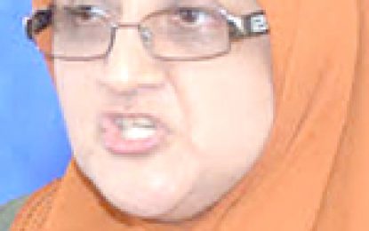 ‘Grey Boy’ committal stalled as magistrate appeal Judge’s ruling