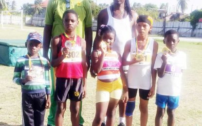 Third Kingmedas Pansy Adonis classic hailed as a hit