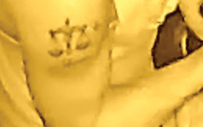 Barefoot bandits recorded on camera robbing Eccles business