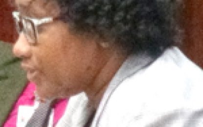No monies set aside in Budget for new Demerara River Bridge