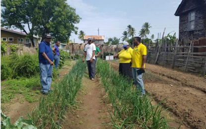 Region Six farmers answer the call for diversification