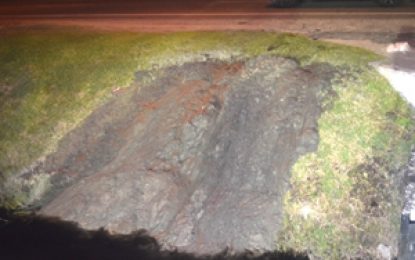 Barrels of foul-smelling substance dumped near Meadow Bank