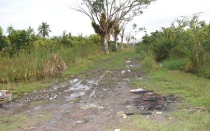 Residents relieved over Le Repentir Cemetery’s upgrade