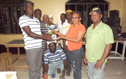 Mix Up capture Wiltshire Birth Anniversary Dominoes title
