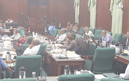 Opposition Motion on Camp Street fire fails