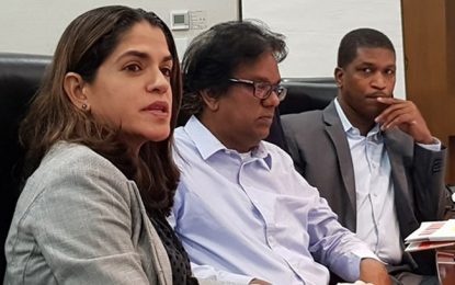 GuySuCo’s assets valuation to take eight months