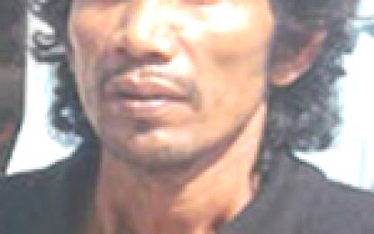 Sentencing looms for man who killed brother