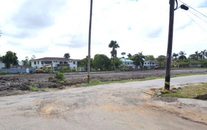 Minister chides M&CC over Bel Air Park playfield takeover