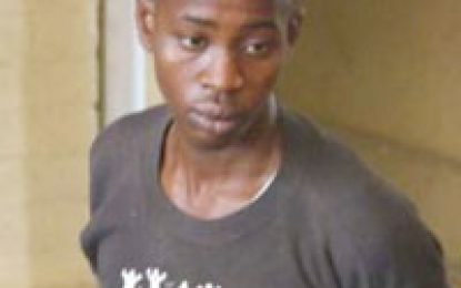 Alleged niece killer for High Court trial