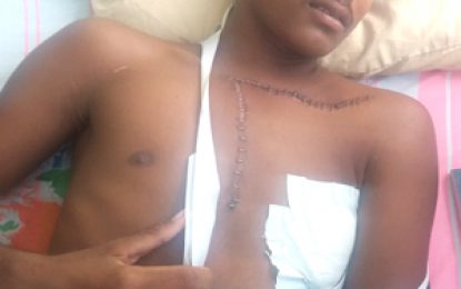 Teen caught in tree said he begged homeowner not to shoot