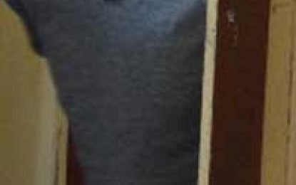 Kitty craftsman claims given stolen item for his silence