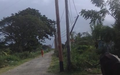 East Coast man fear GPL pole leaning over home
