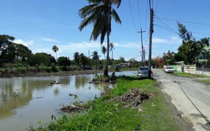 Residents question works on Campbellville reserve