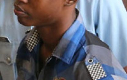 Teen remanded for stealing father’s gun, ammo