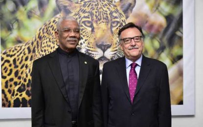 Outgoing Argentine Ambassador tags National Gallery collaborations