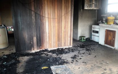 Sister, 7, saves brother, 4, as home-alone children escape blaze