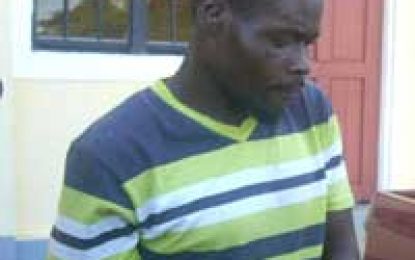 Man who raped, murdered great aunt jailed for 25 yrs.