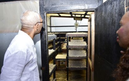 West Ruimveldt seafood company supplies army, gold operations and GPHC