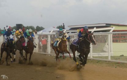 Major prizes for fans at Jumbo Jet Thoroughbred Committee “Triple Crown” C/ships