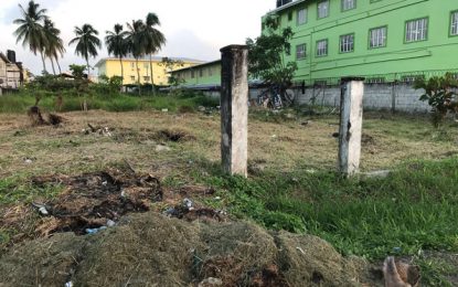 Stalled hospital project pushes businessman to recover $27M donation