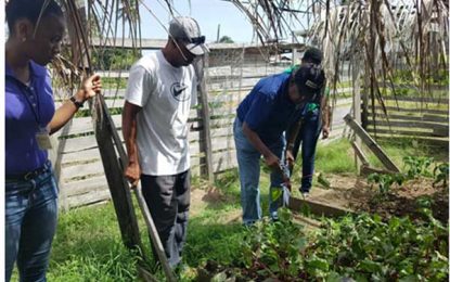 Beetroot— the ‘super food’ that lowers the risk of heart disease