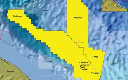 Govt. Ministers have no place determining technical issues on oil